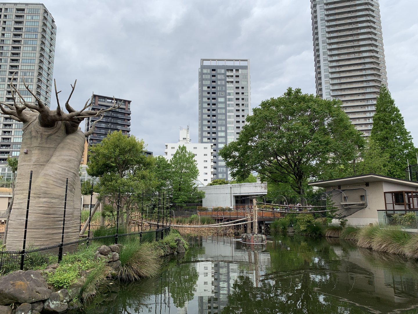 Ring-tailed Lemur Exhibit