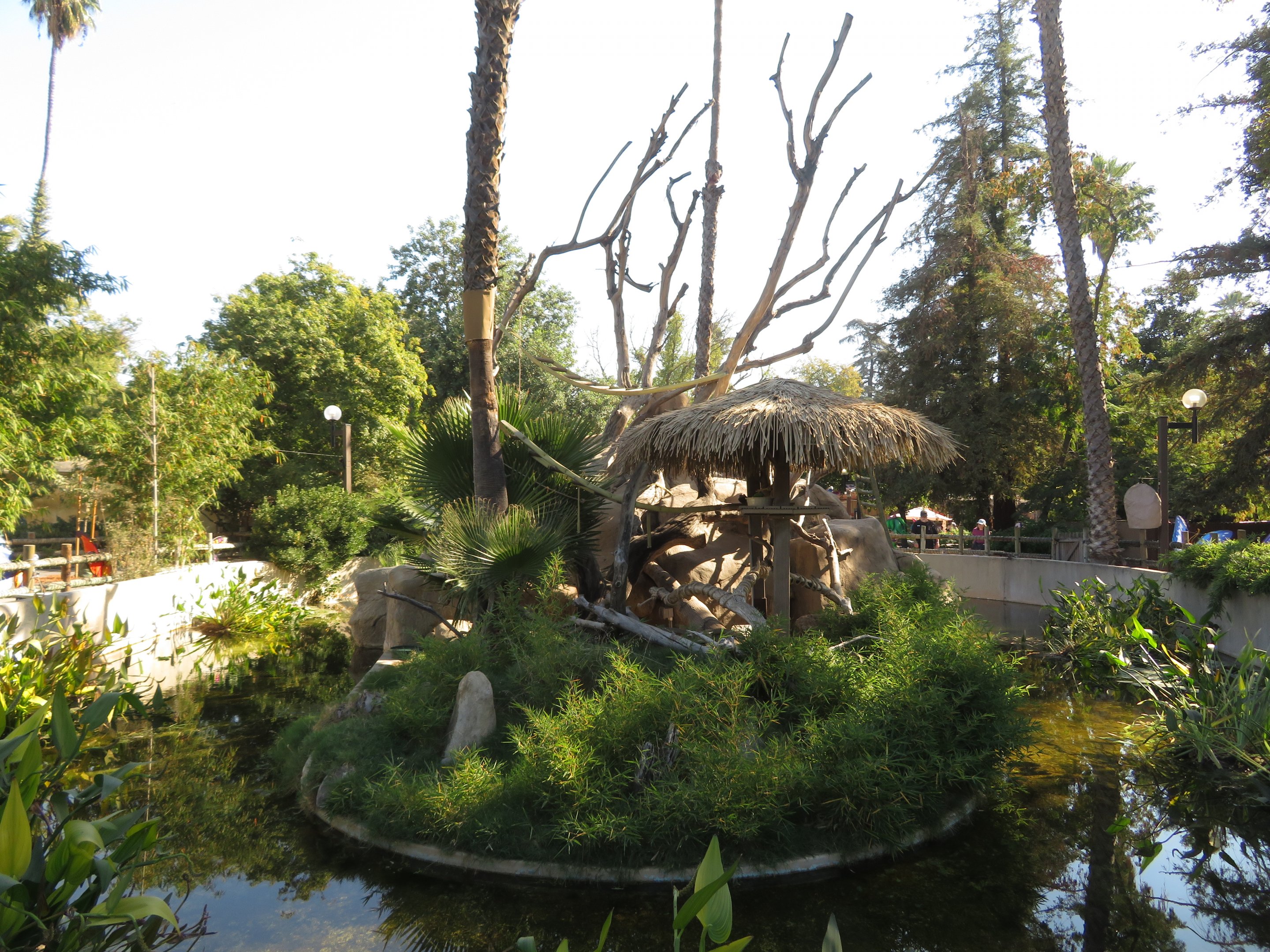 Ring-tailed Lemur Exhibit