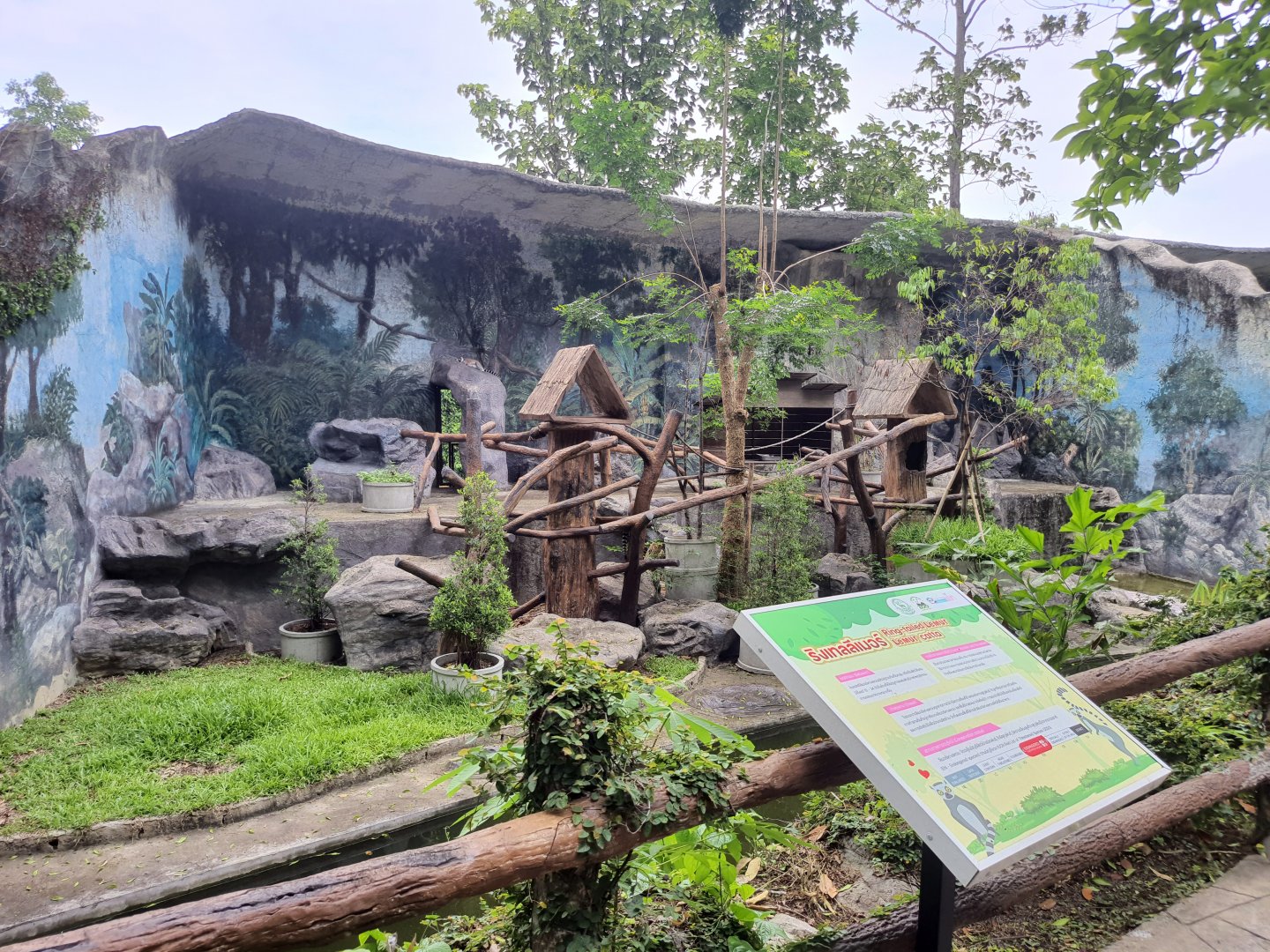 Ring Tailed Lemur Exhibit