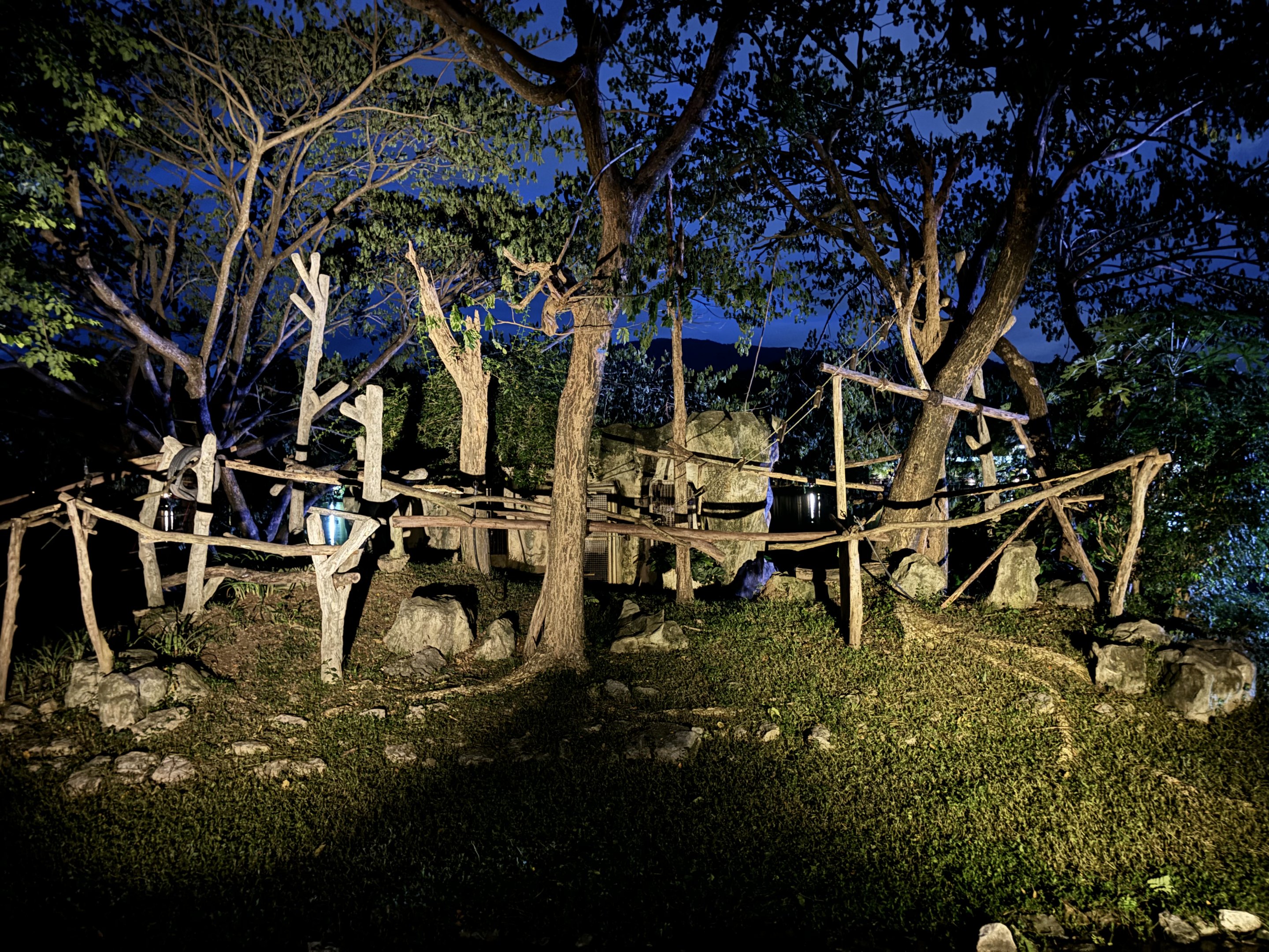 Ring-tailed Lemur Exhibit