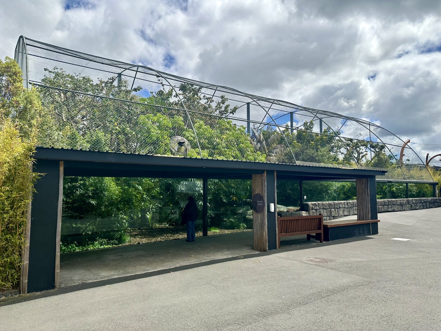 Ring-tailed Lemur Exhibit