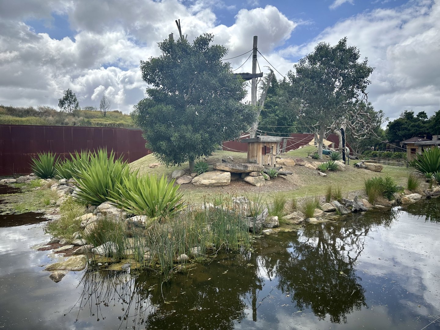 Ring-tailed Lemur Exhibit