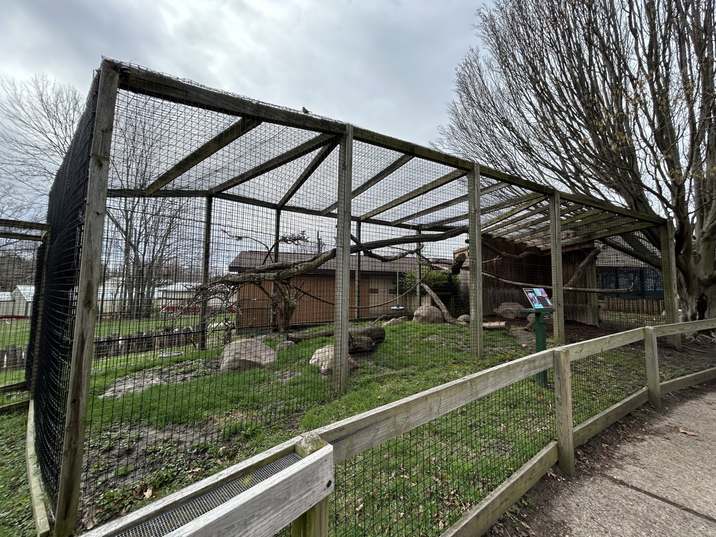 Ring-tailed Lemur Exhibit