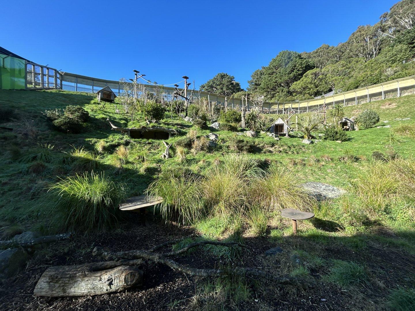 Ring-tailed Lemur Exhibit