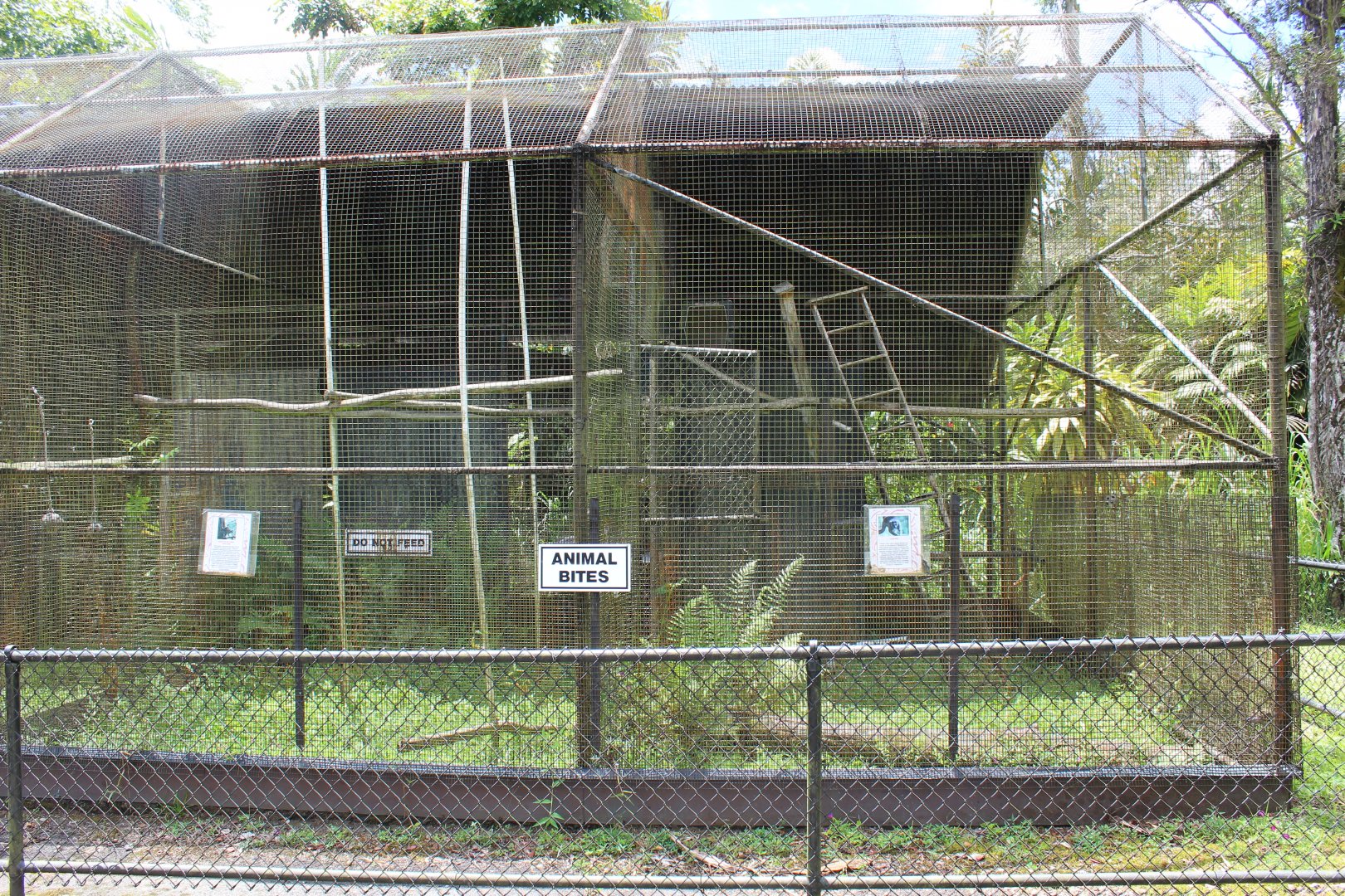 Ring-Tailed Lemur Exhibits