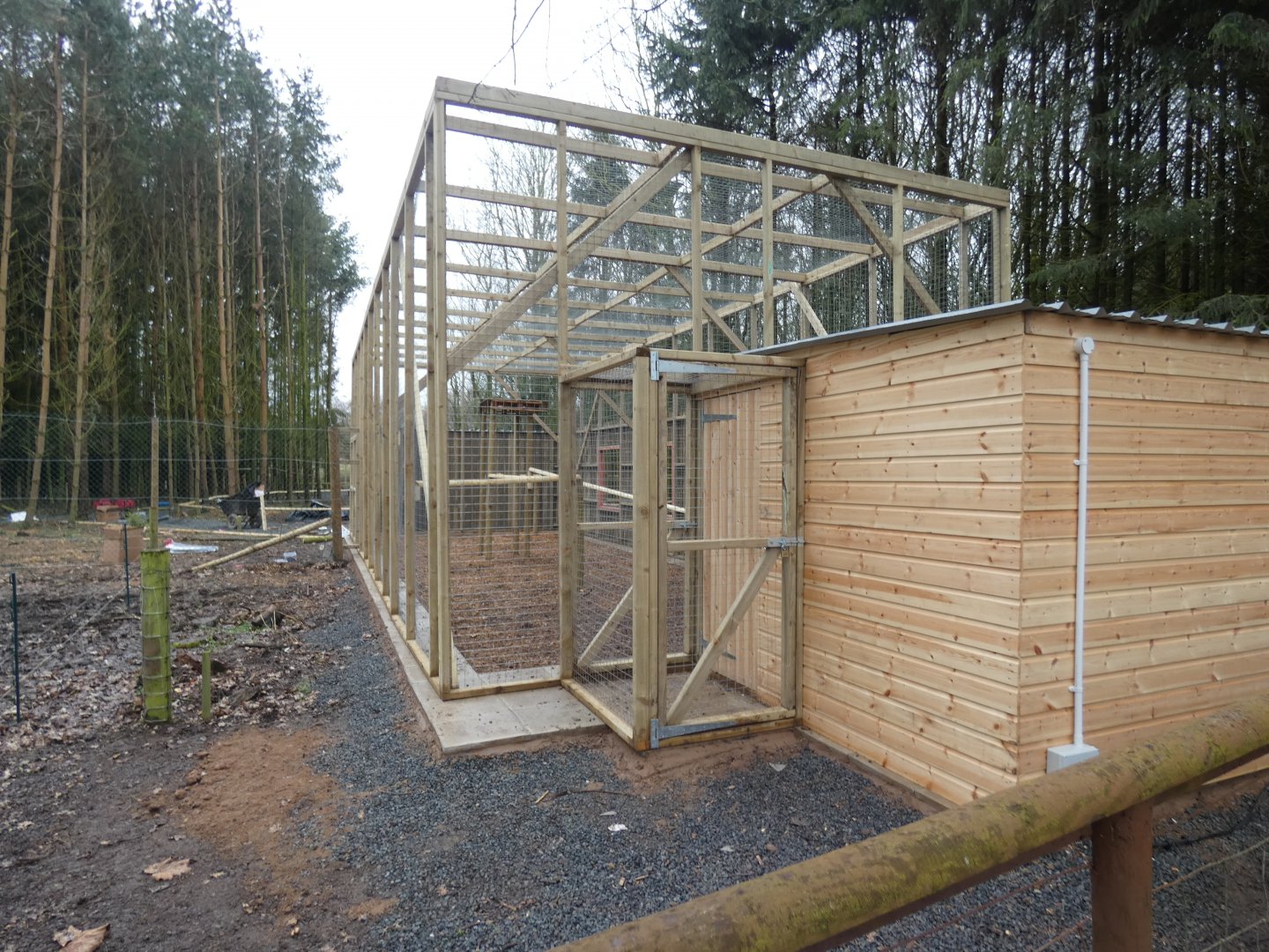 Ring-tailed Lemur Holding Area