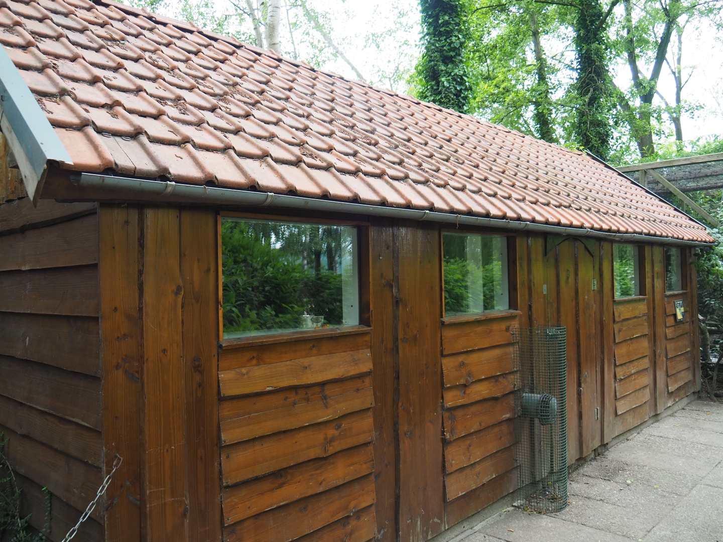 Ring-tailed lemur house, 2019-05-25