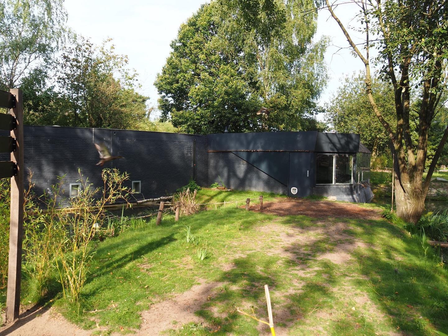 Ring-tailed lemur house,2019-09-15