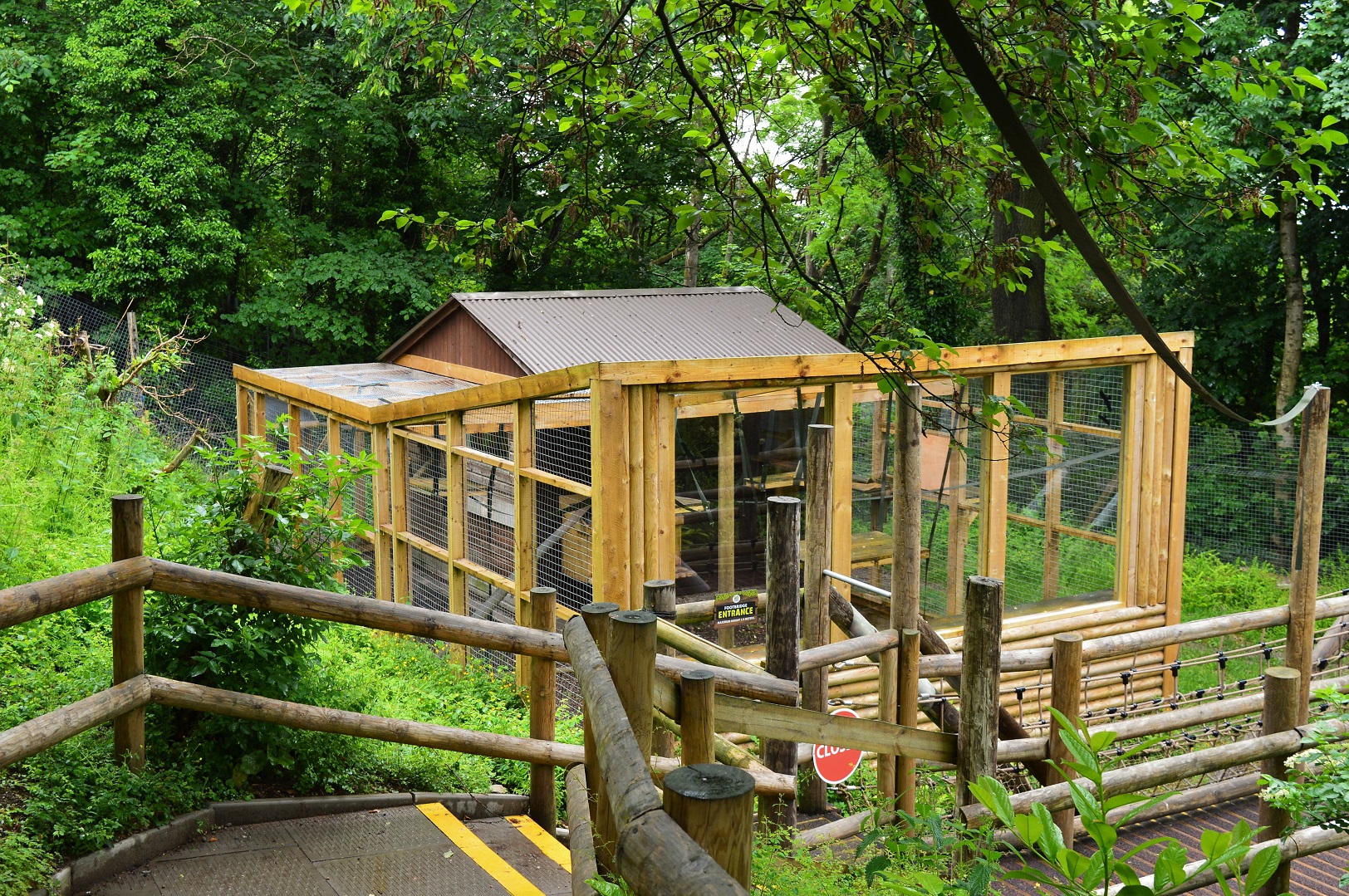 Ring-tailed lemur house