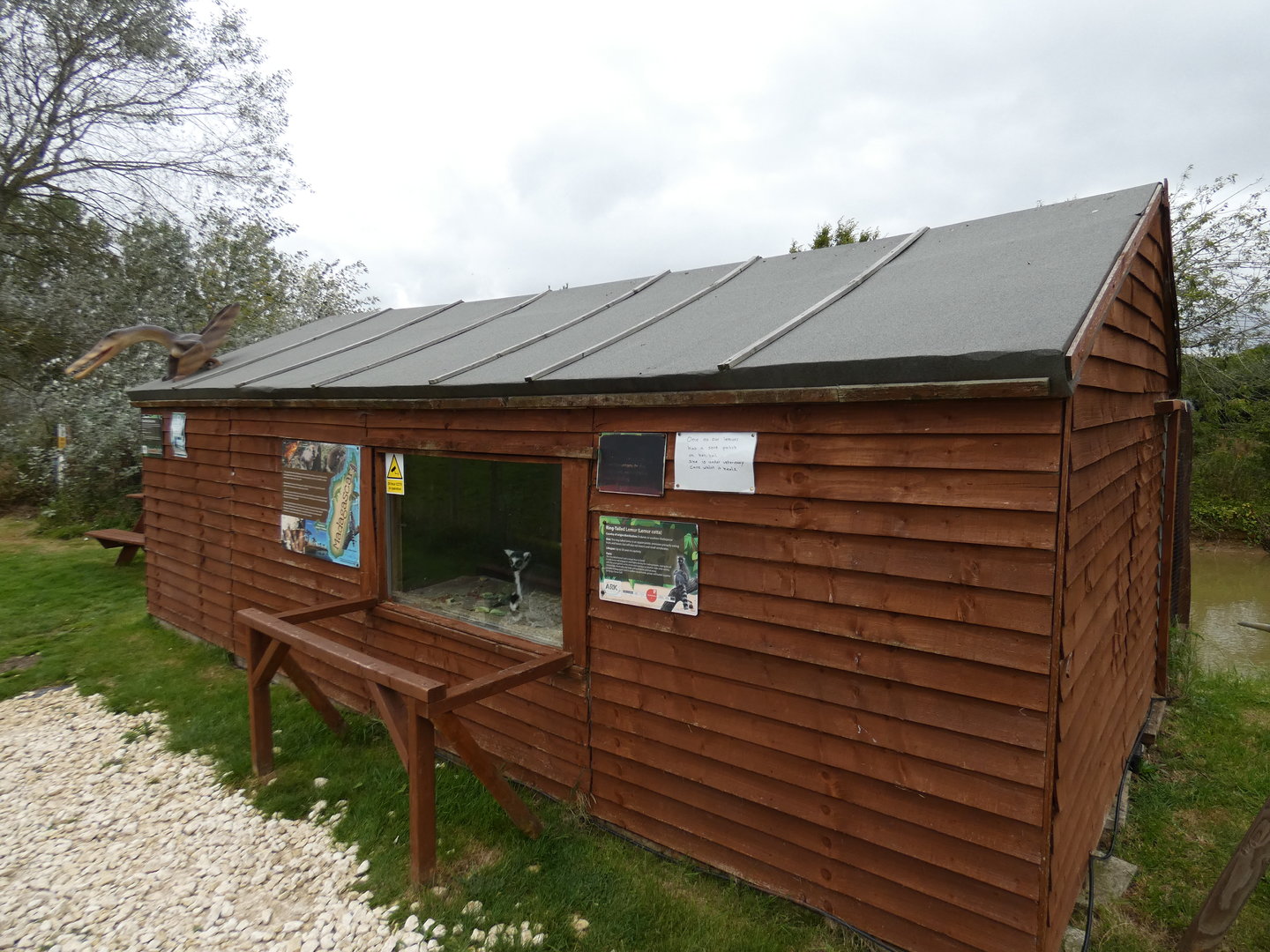 Ring-tailed lemur house