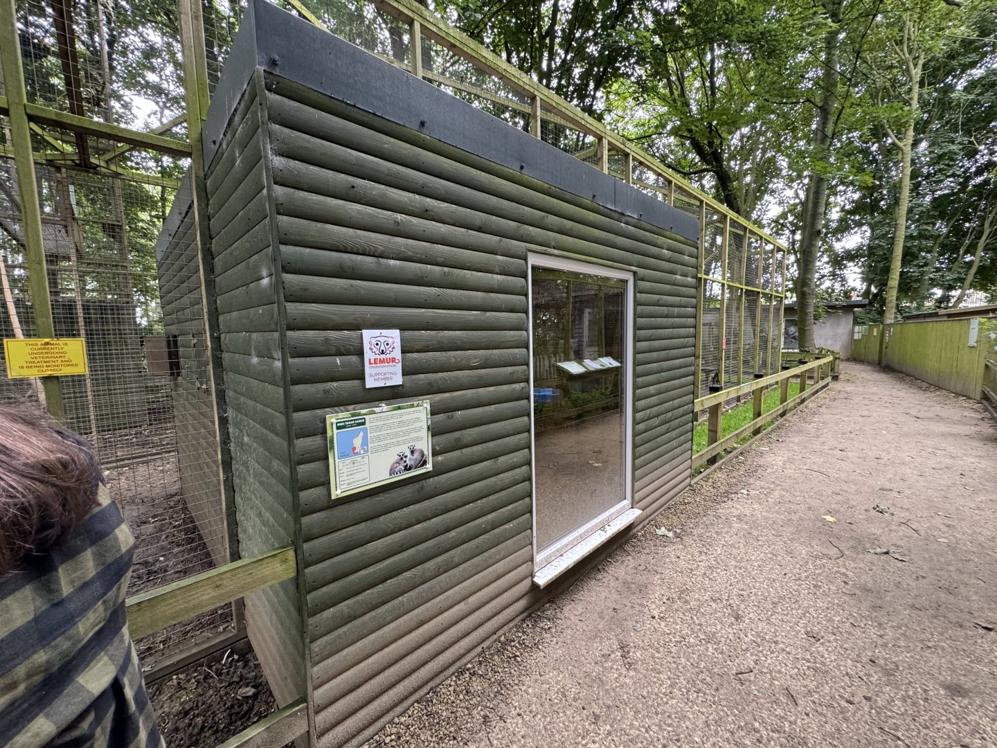 Ring-tailed Lemur Housing at Bridlington Animal Park (July 2024)