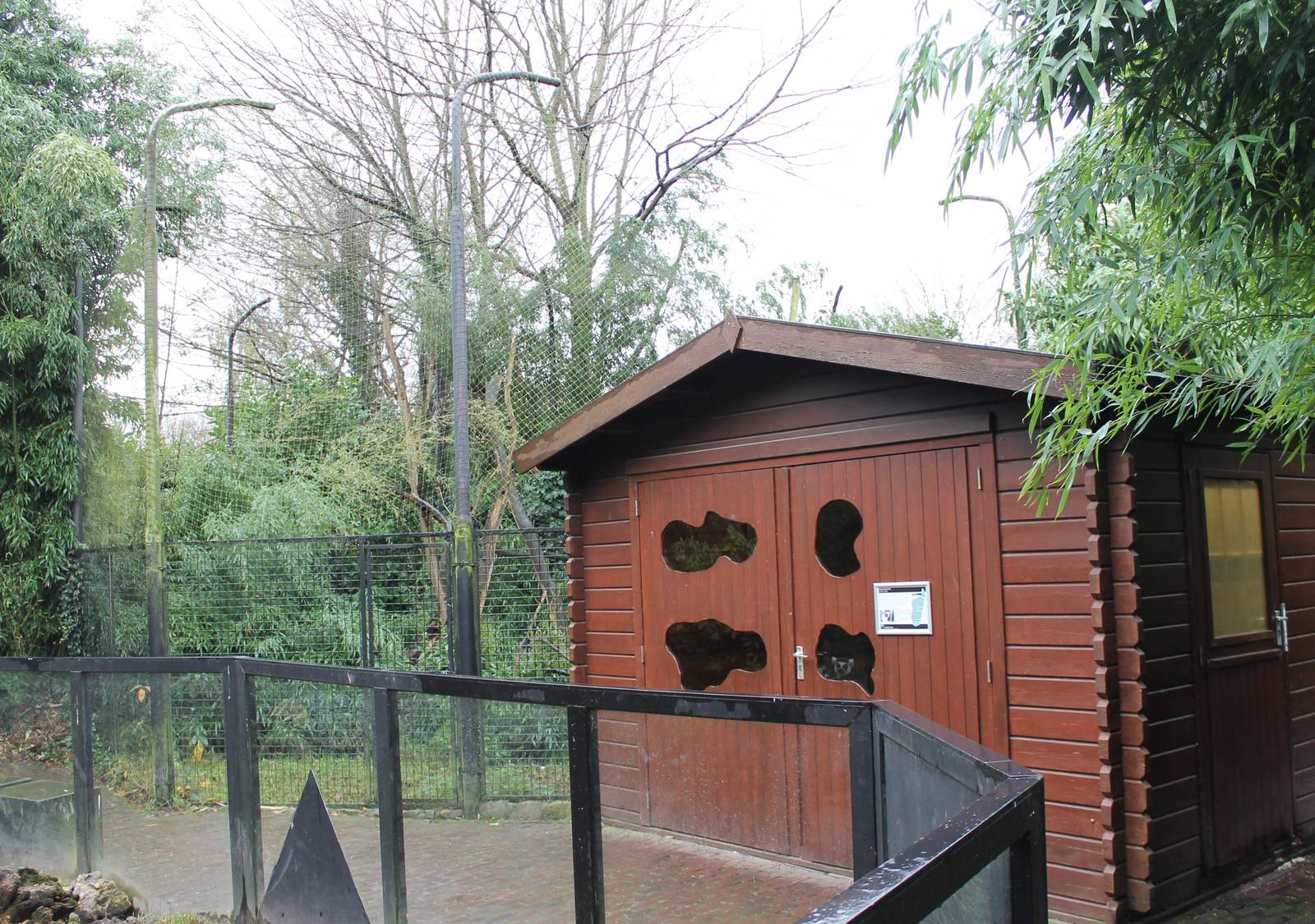 Ring-tailed lemur indoor and outdoor enclosure