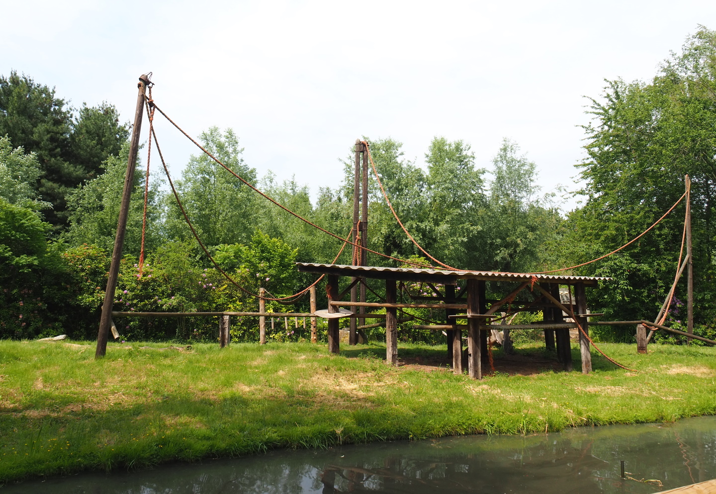 Ring-tailed lemur island, 2021-06-15