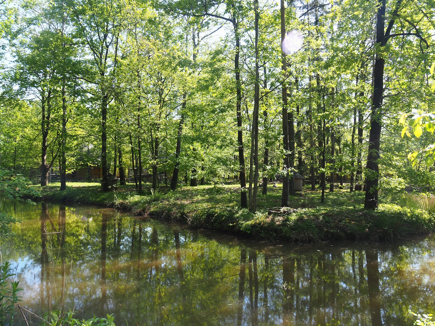 Ring-tailed lemur island, 2023-05-19