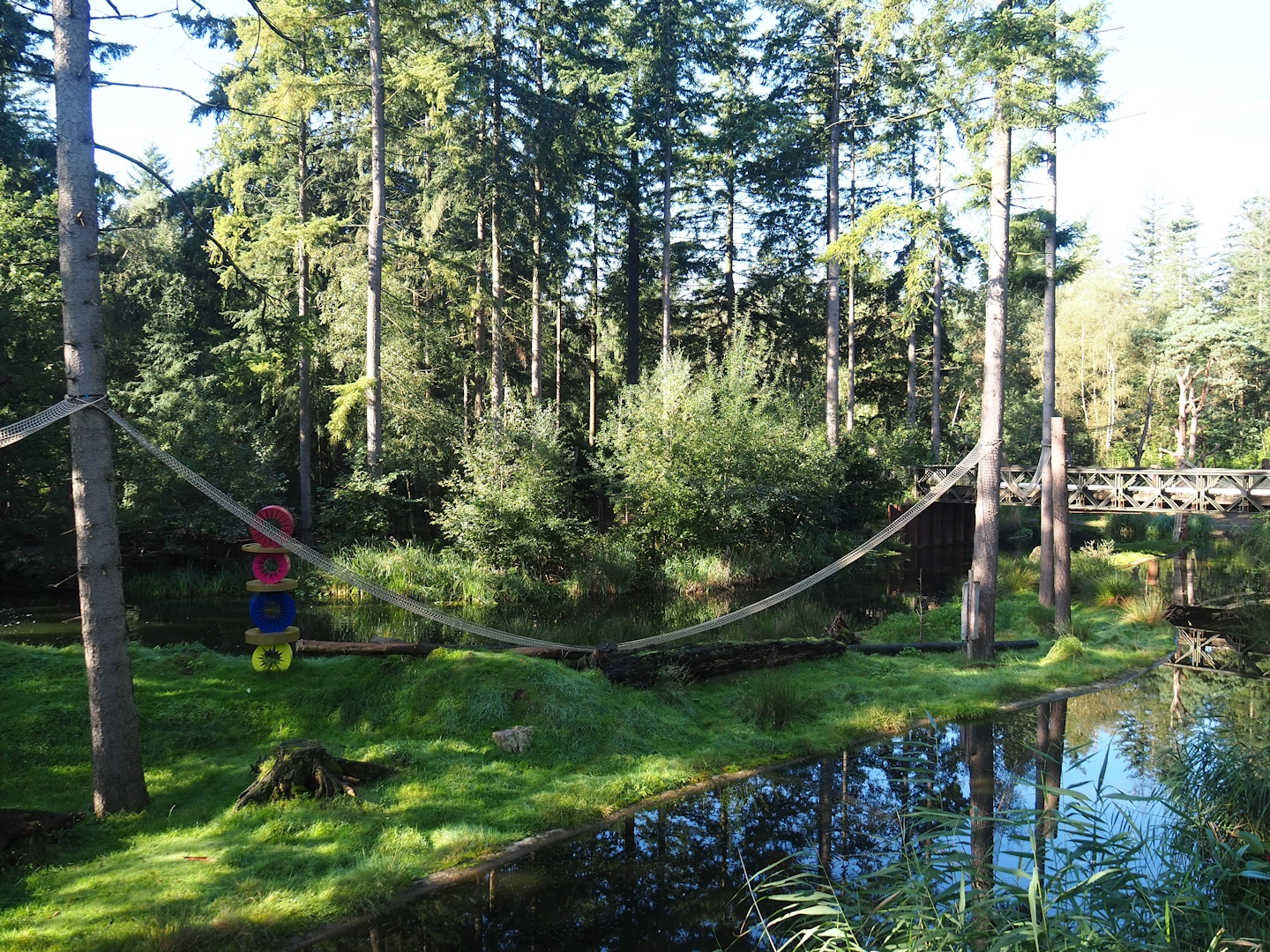 Ring-tailed lemur island, 2023-09-24