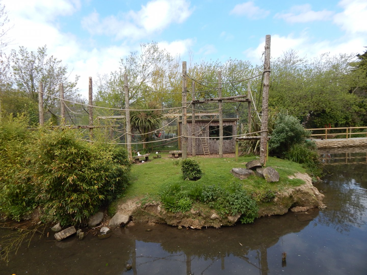 Ring-tailed lemur island 240424