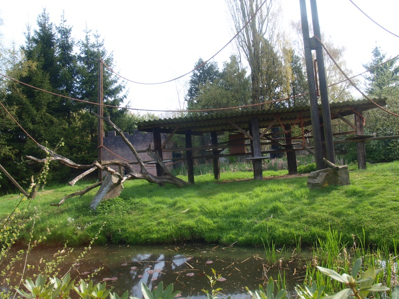 Ring-tailed lemur island (April 19th, 2015)