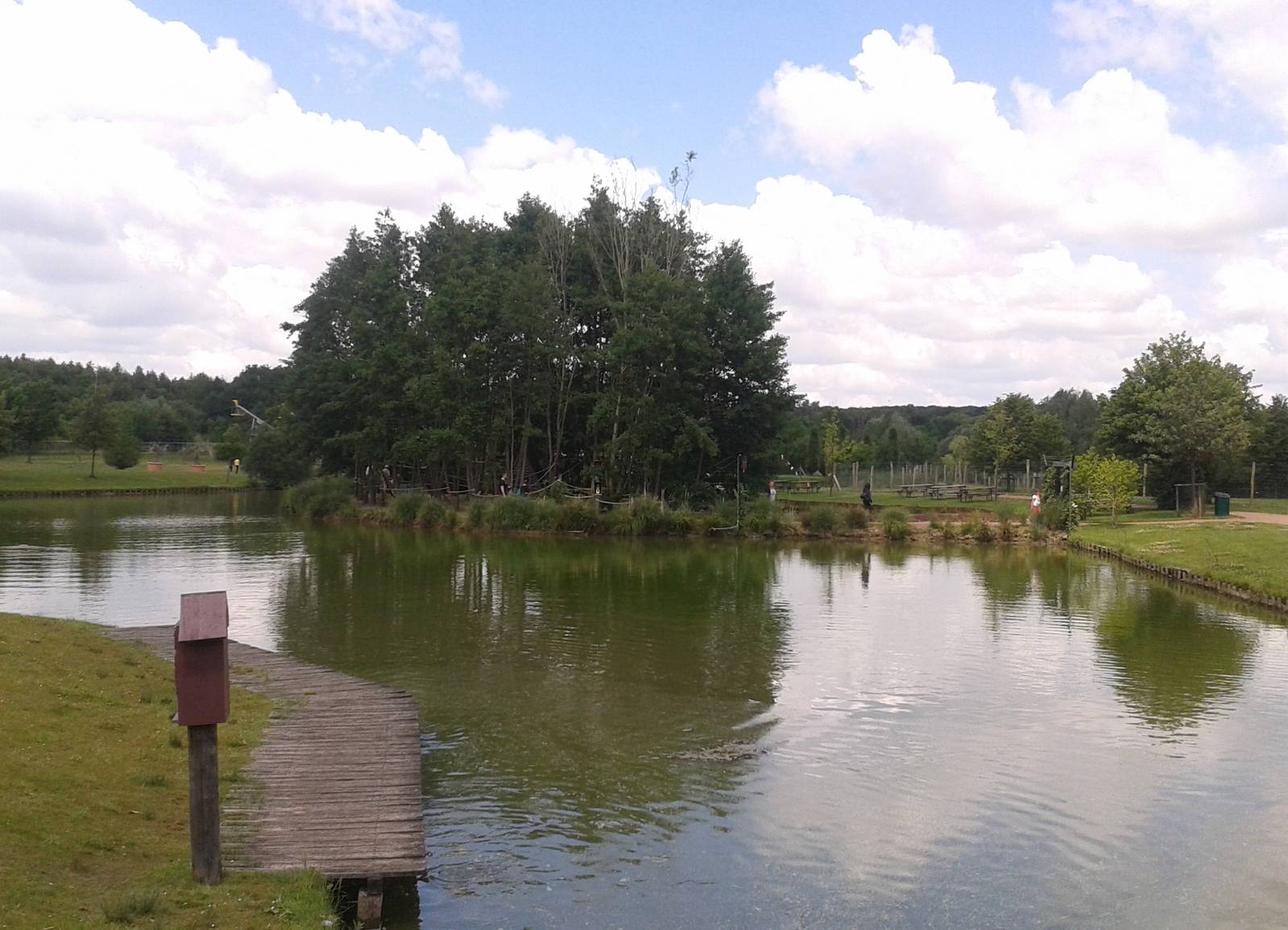 Ring-tailed lemur island