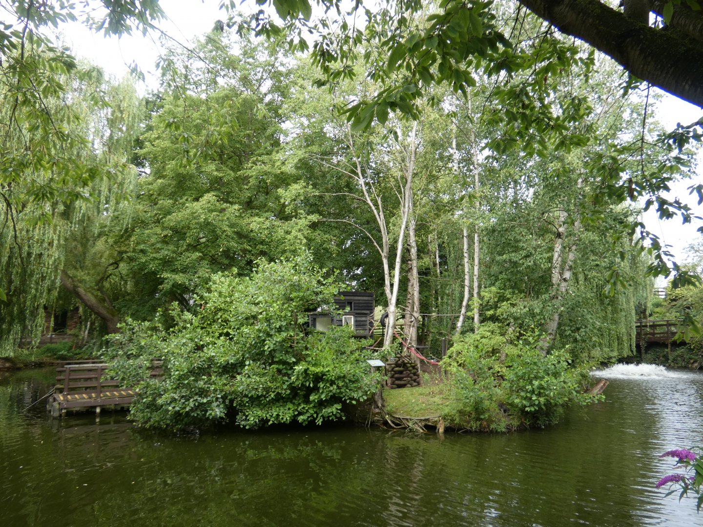 Ring-tailed Lemur island