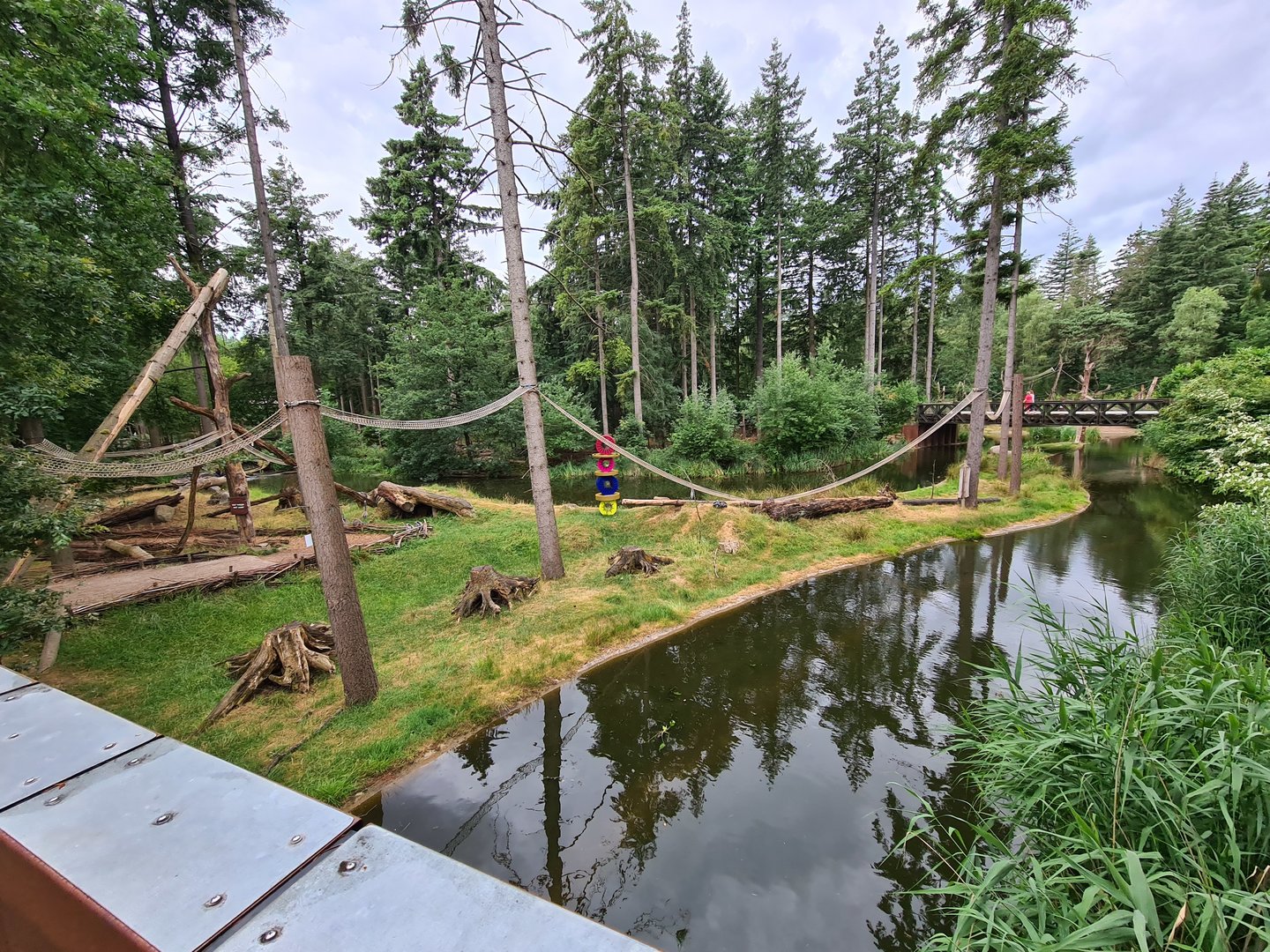 Ring-tailed lemur island