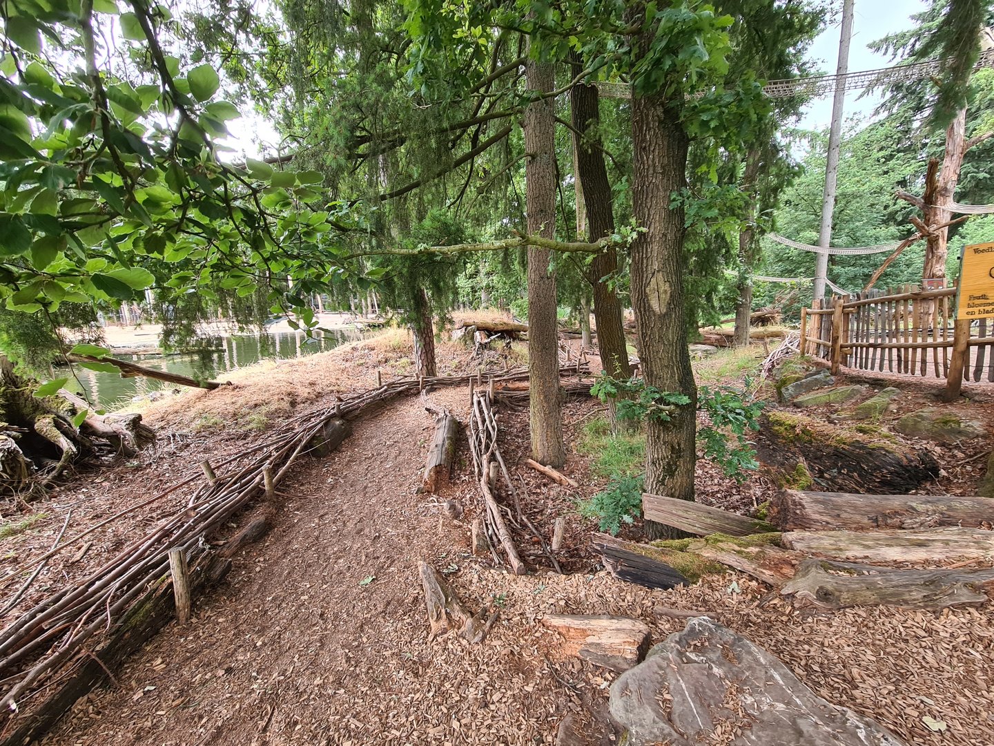 Ring-tailed lemur island