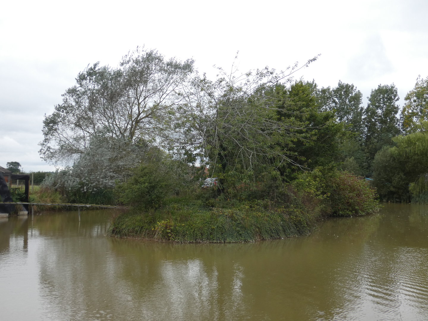 Ring-tailed lemur island