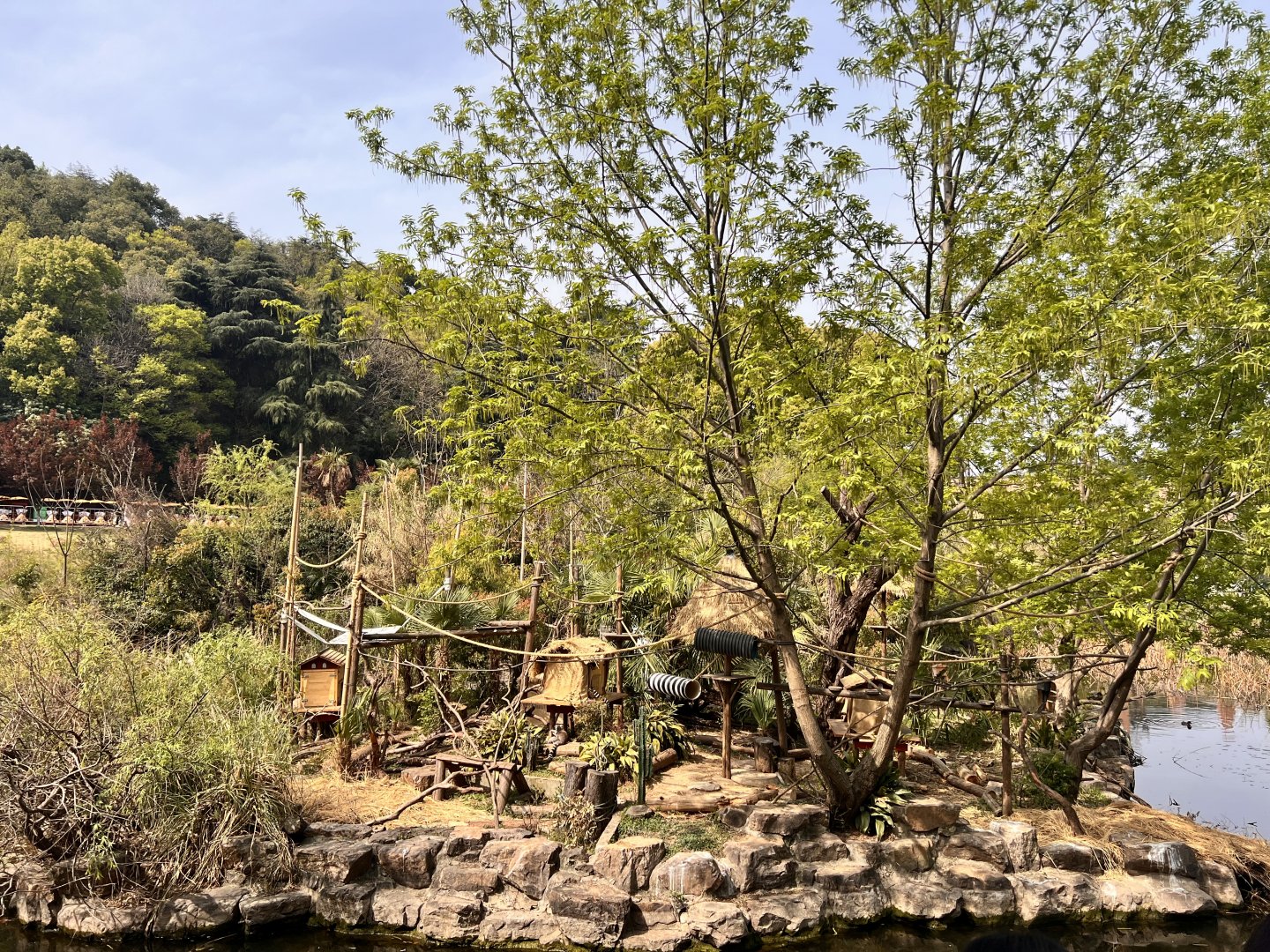Ring-Tailed Lemur Island