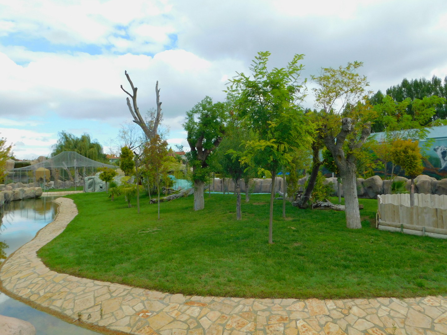 Ring-Tailed Lemur Islande