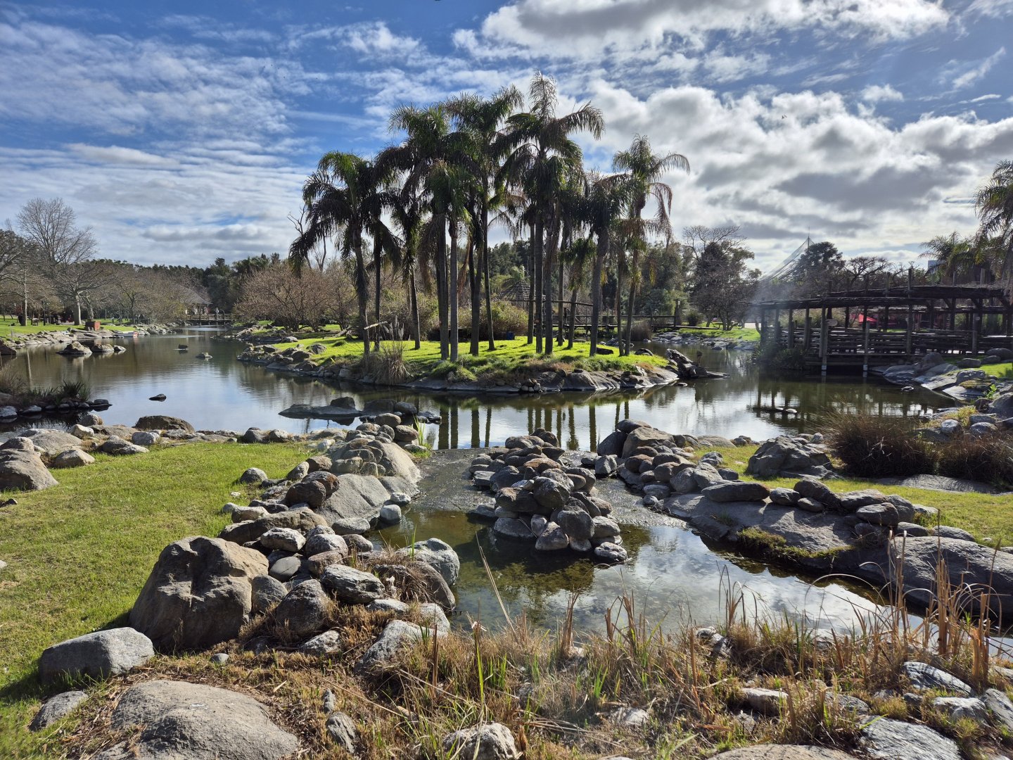 Ring-tailed Lemur islands