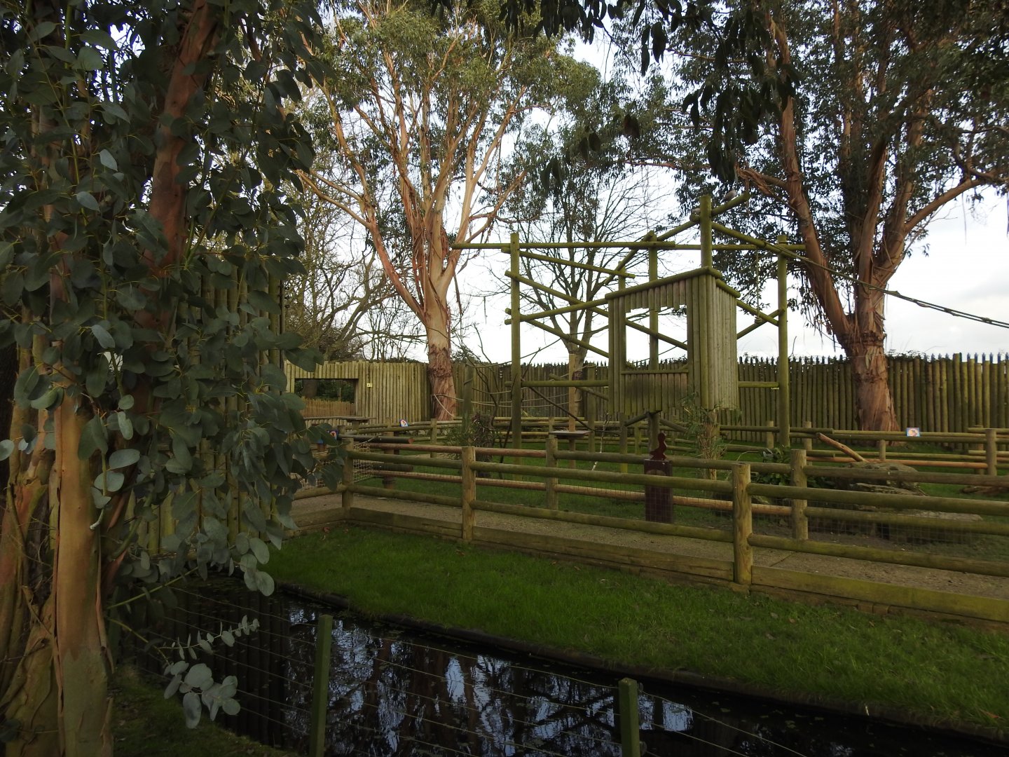 Ring-Tailed Lemur (Lemur catta) and Black Lemur (Eulemur macaco) Walkthrough