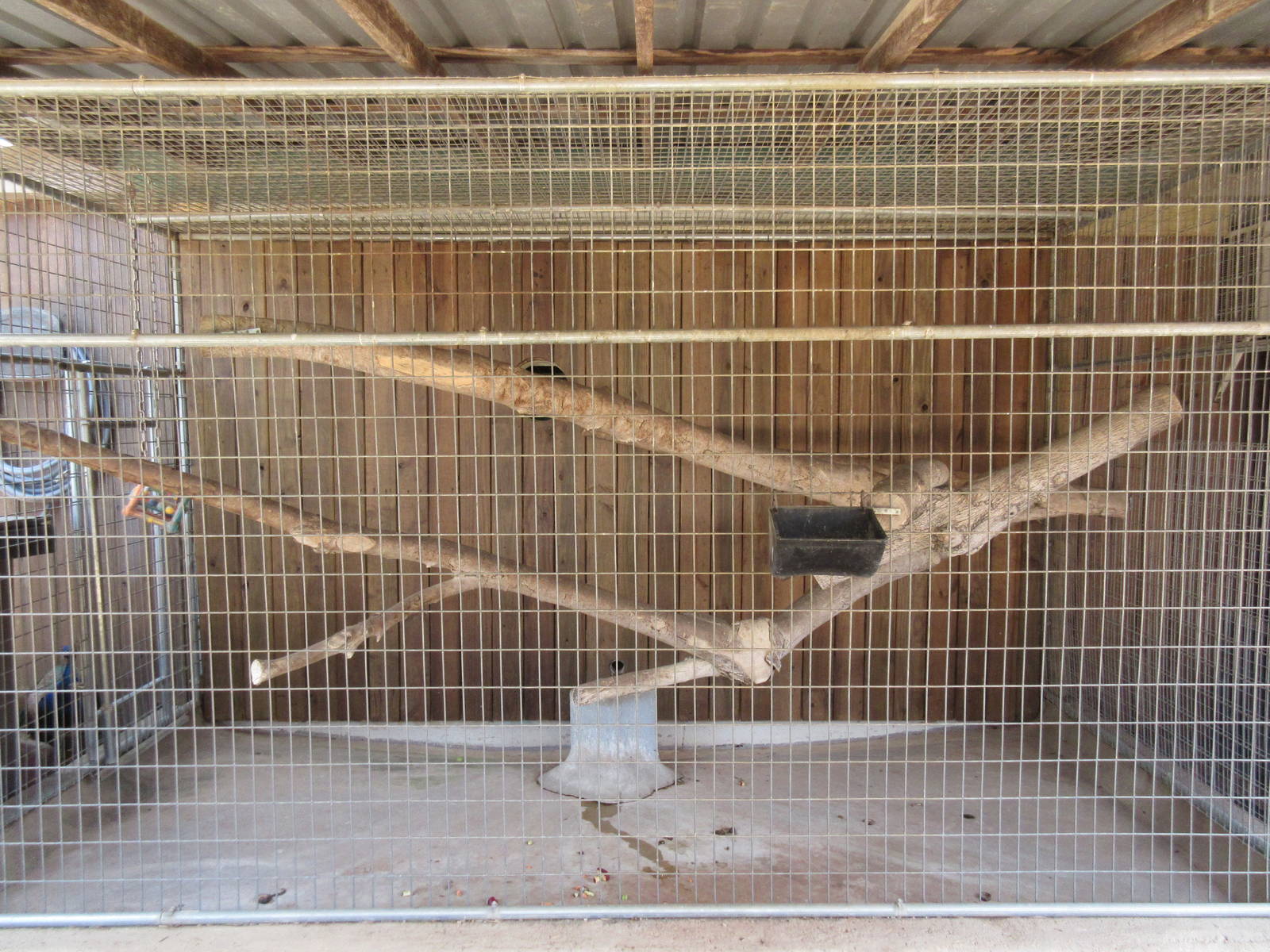 Ring-Tailed Lemur Outdoor Exhibit (the lemurs can also be seen inside the b