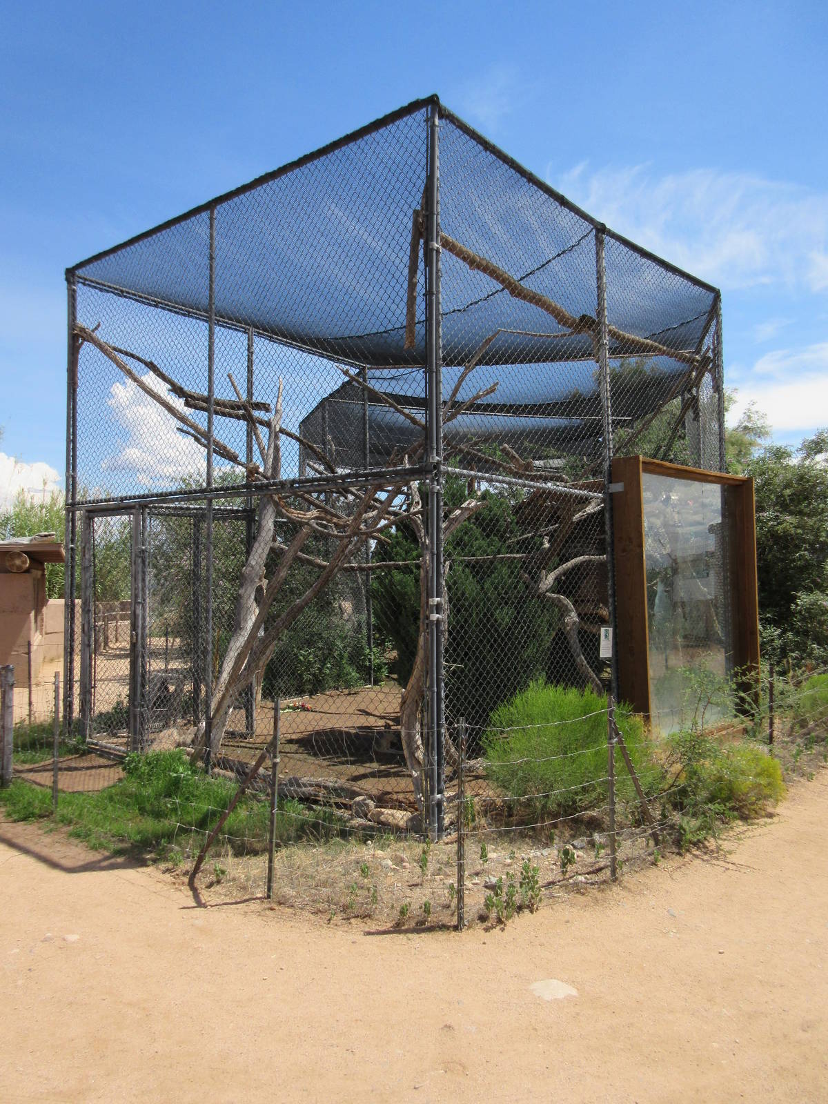 Ring-Tailed Lemur/Patagonian Cavy Exhibit