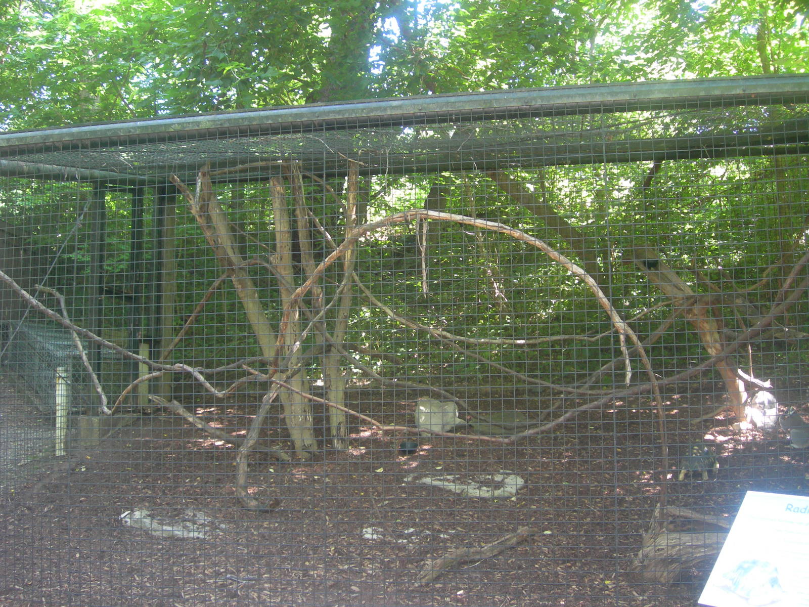 Ring Tailed Lemur/Radiated Tortoise Exhibit