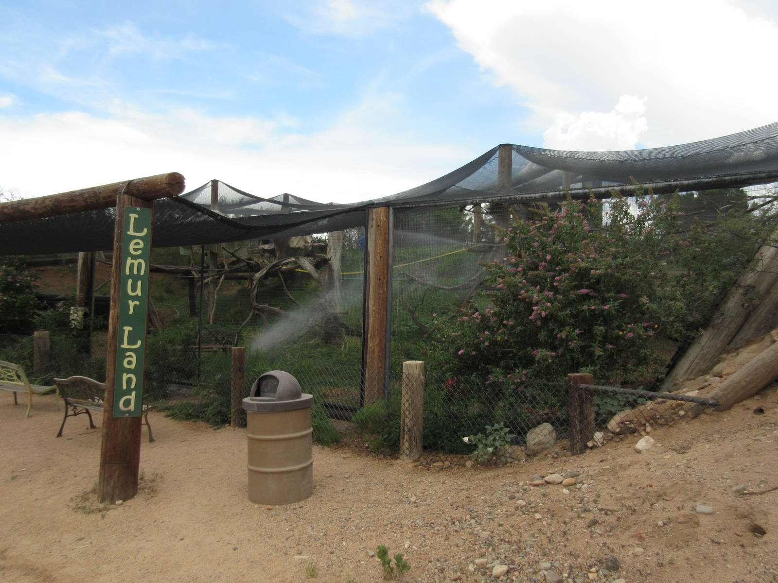 Ring-Tailed Lemur/Radiated Tortoise Exhibit