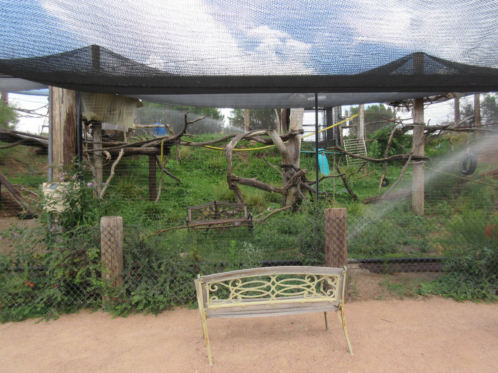 Ring-Tailed Lemur/Radiated Tortoise Exhibit