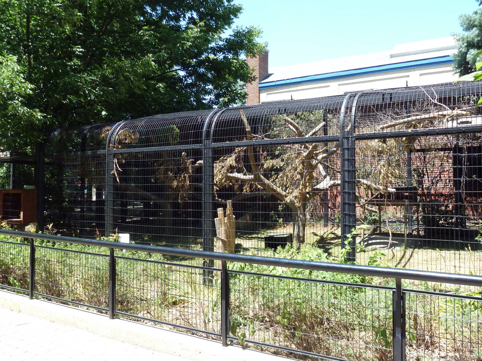 Ring-Tailed Lemur/Red Ruffed Lemur Exhibit