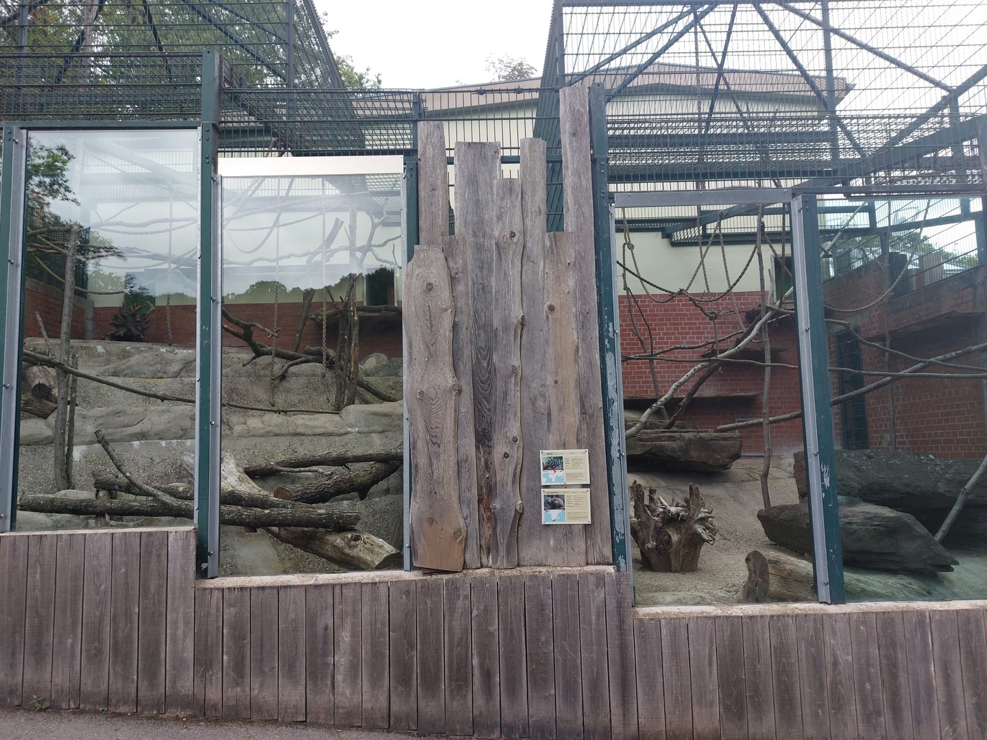 Ring-tailed lemur & rock hyrax enclosure