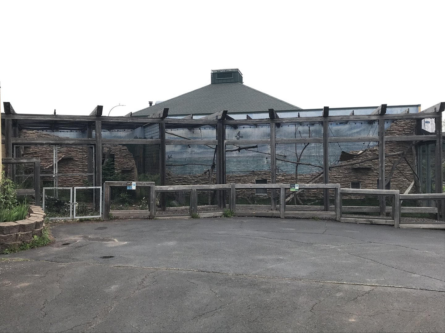 Ring-Tailed Lemur + Swift Fox Exhibits