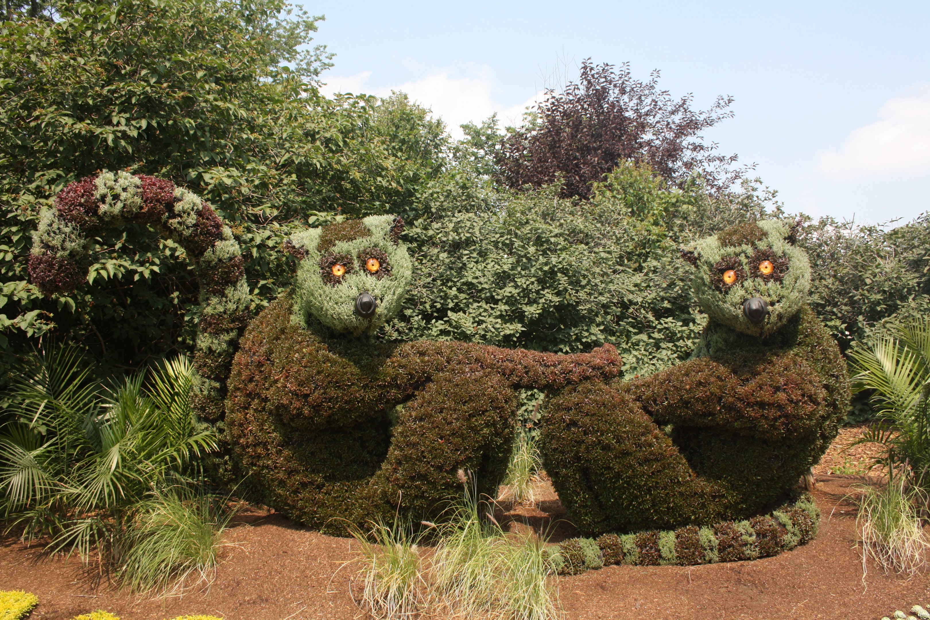 Ring-Tailed Lemur Topiary - Awesome!