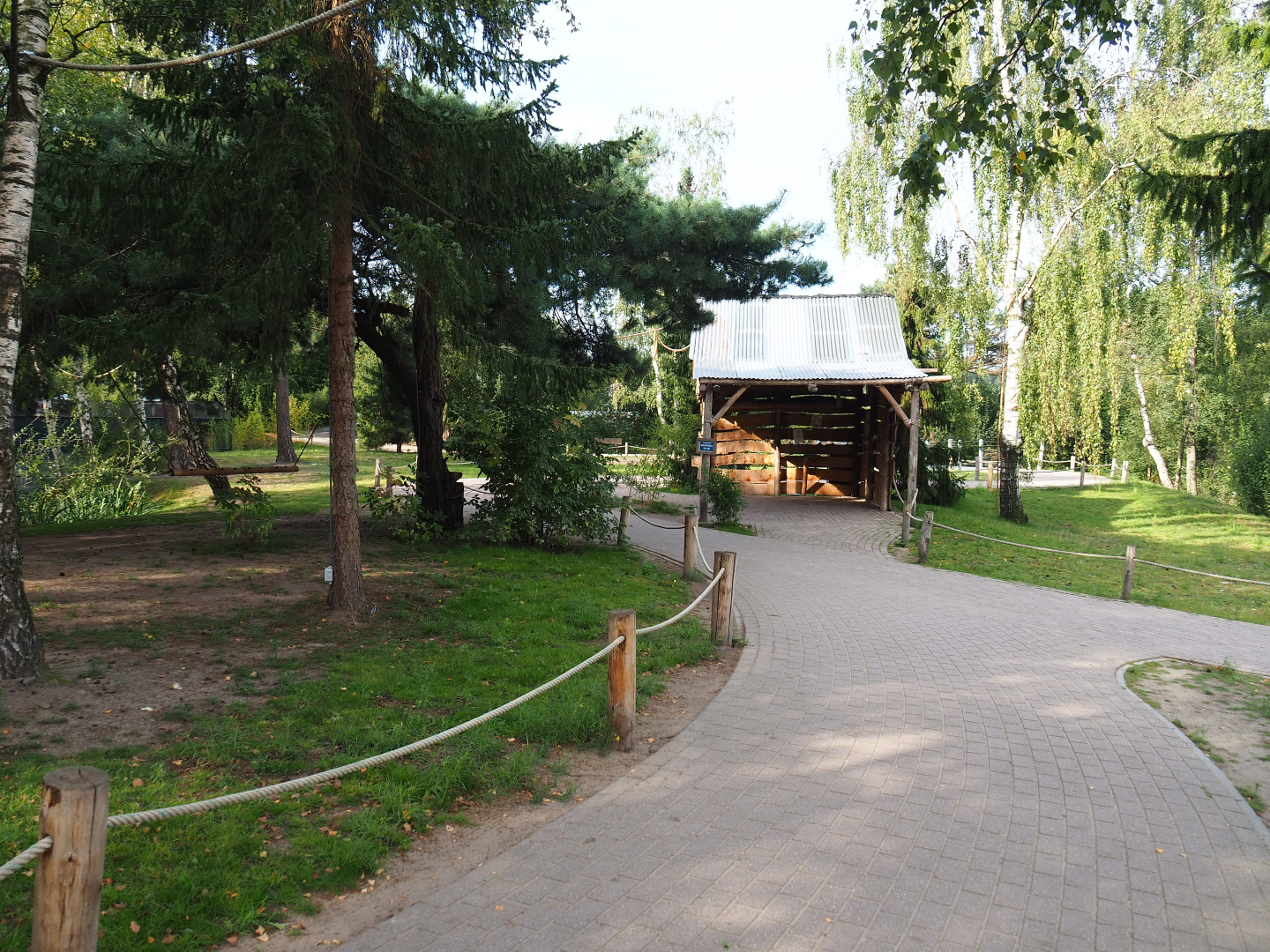 Ring-tailed lemur walk-through area, 2019-09-15