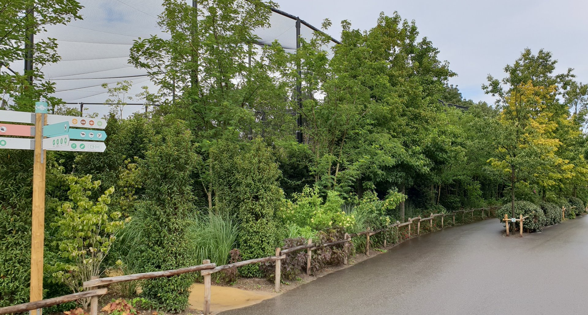 Ring-tailed lemur walk-through enclosure from the outside