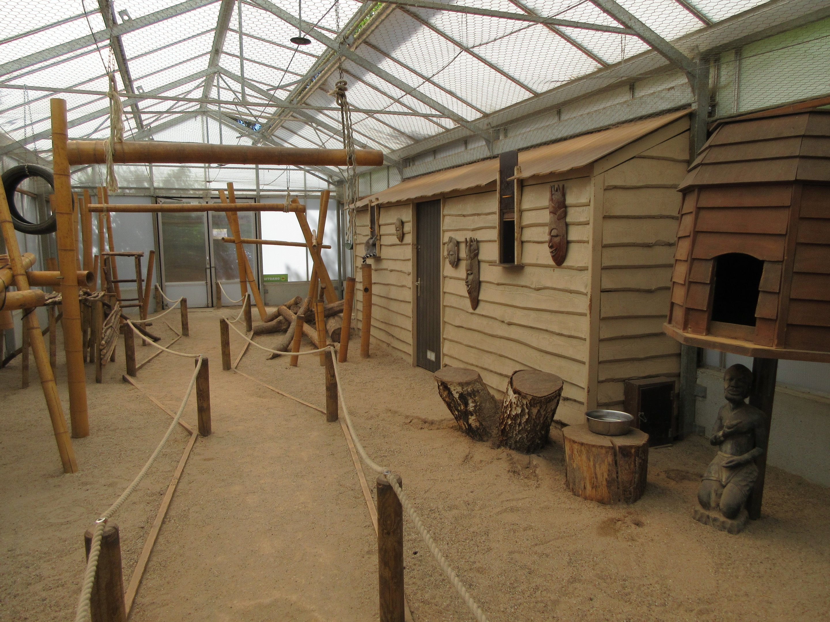 Ring-tailed Lemur Walk-Through Exhibit (indoors)