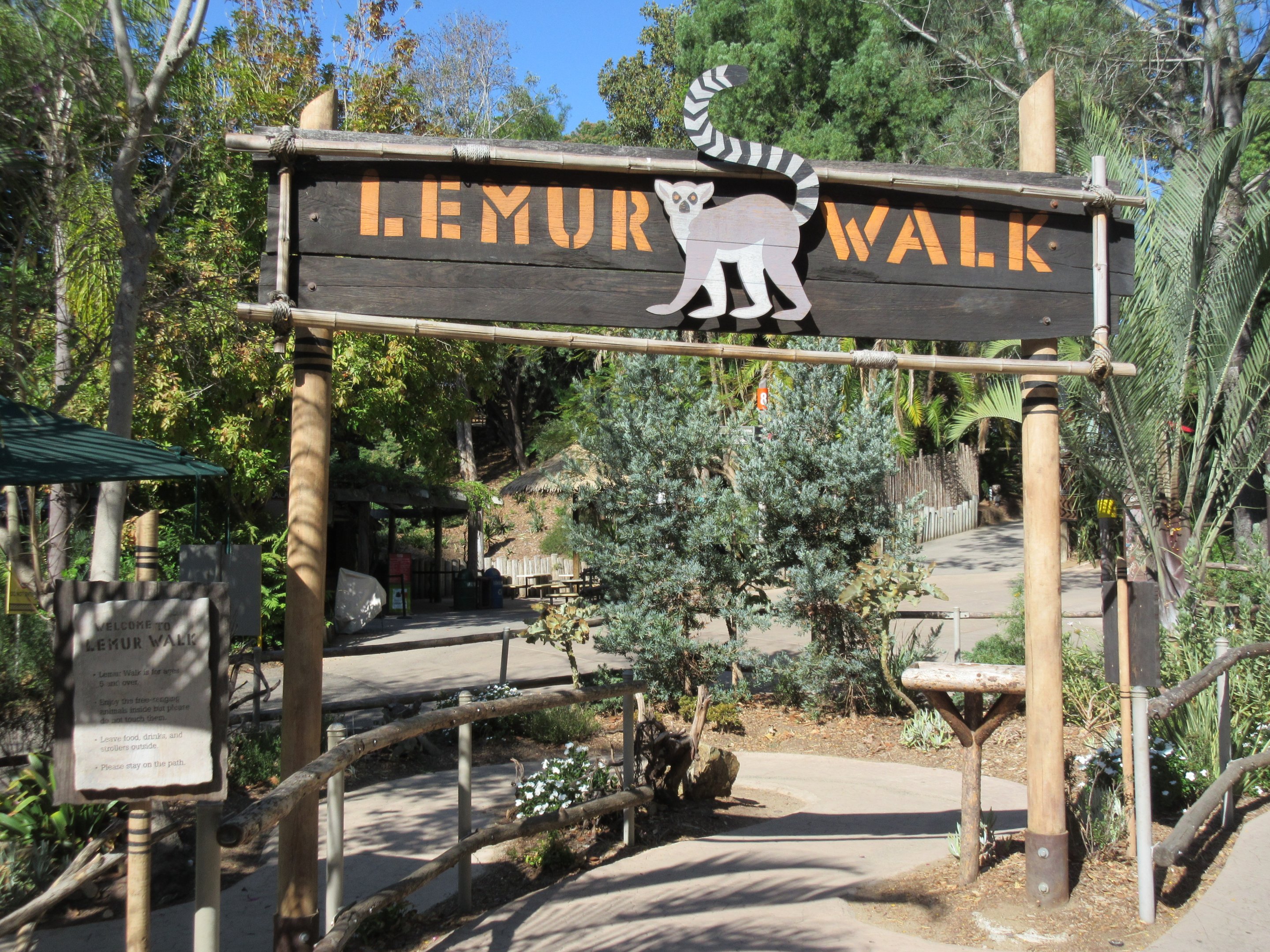 Ring-Tailed Lemur Walk-Through Exhibit