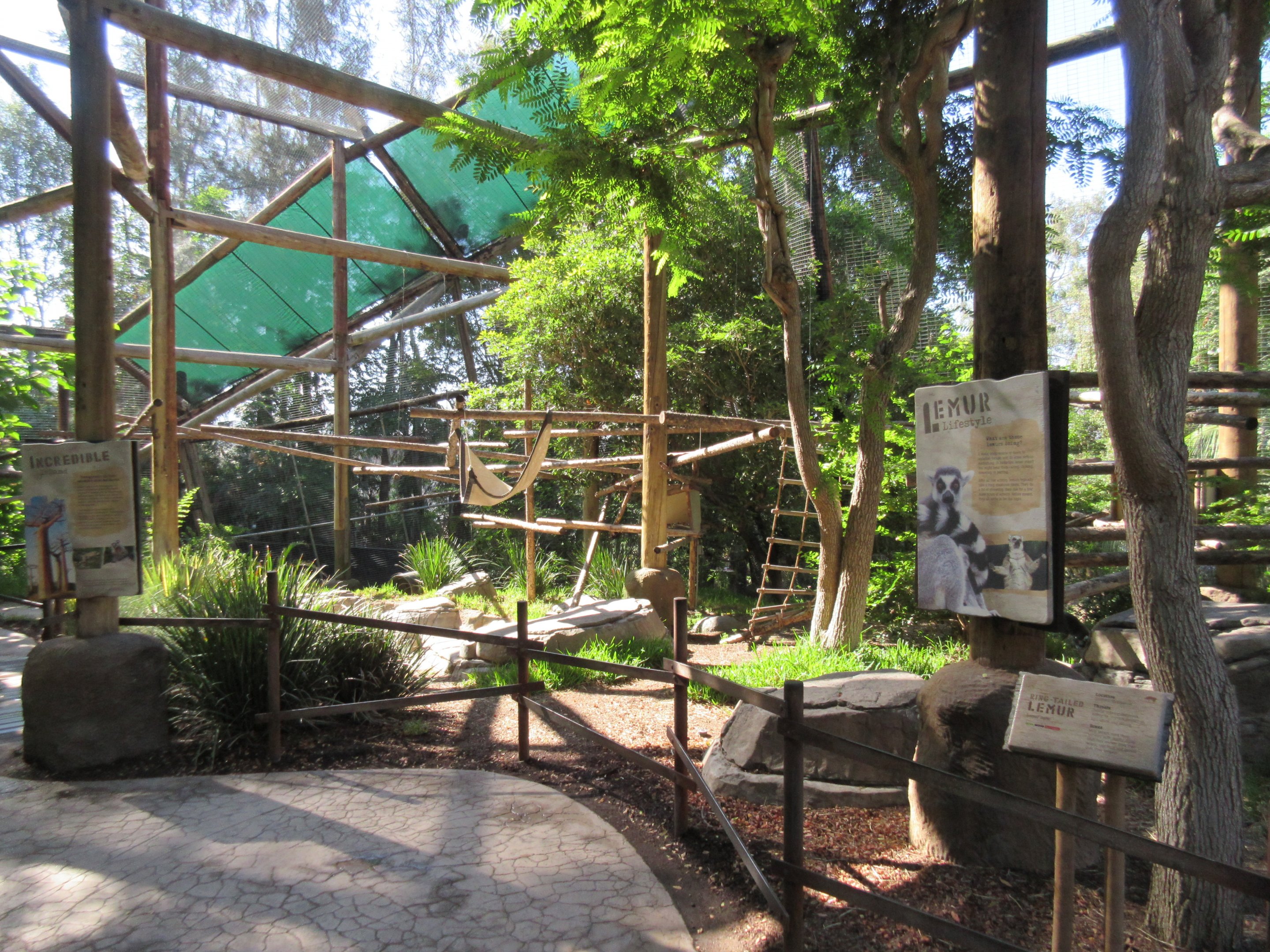 Ring-Tailed Lemur Walk-Through Exhibit
