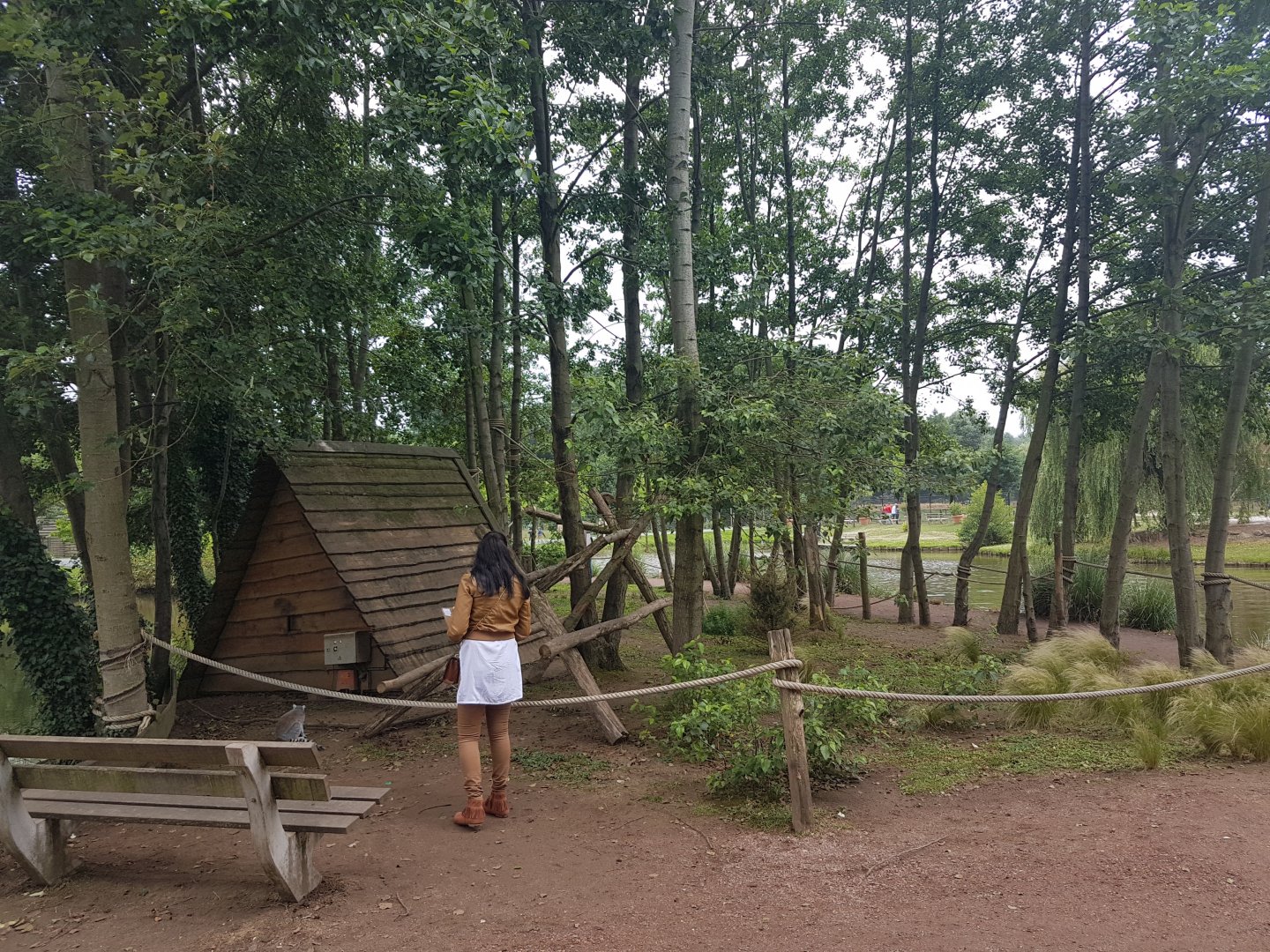 Ring-tailed lemur walk-through island