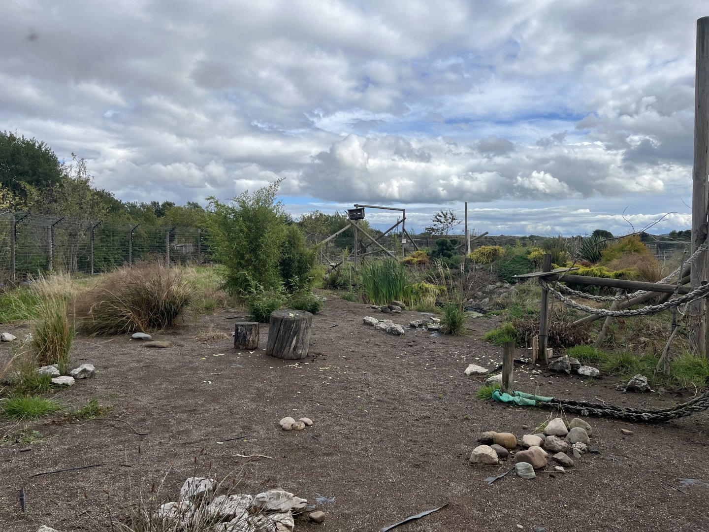 Ring-tailed lemur walkthrough 1.9.25