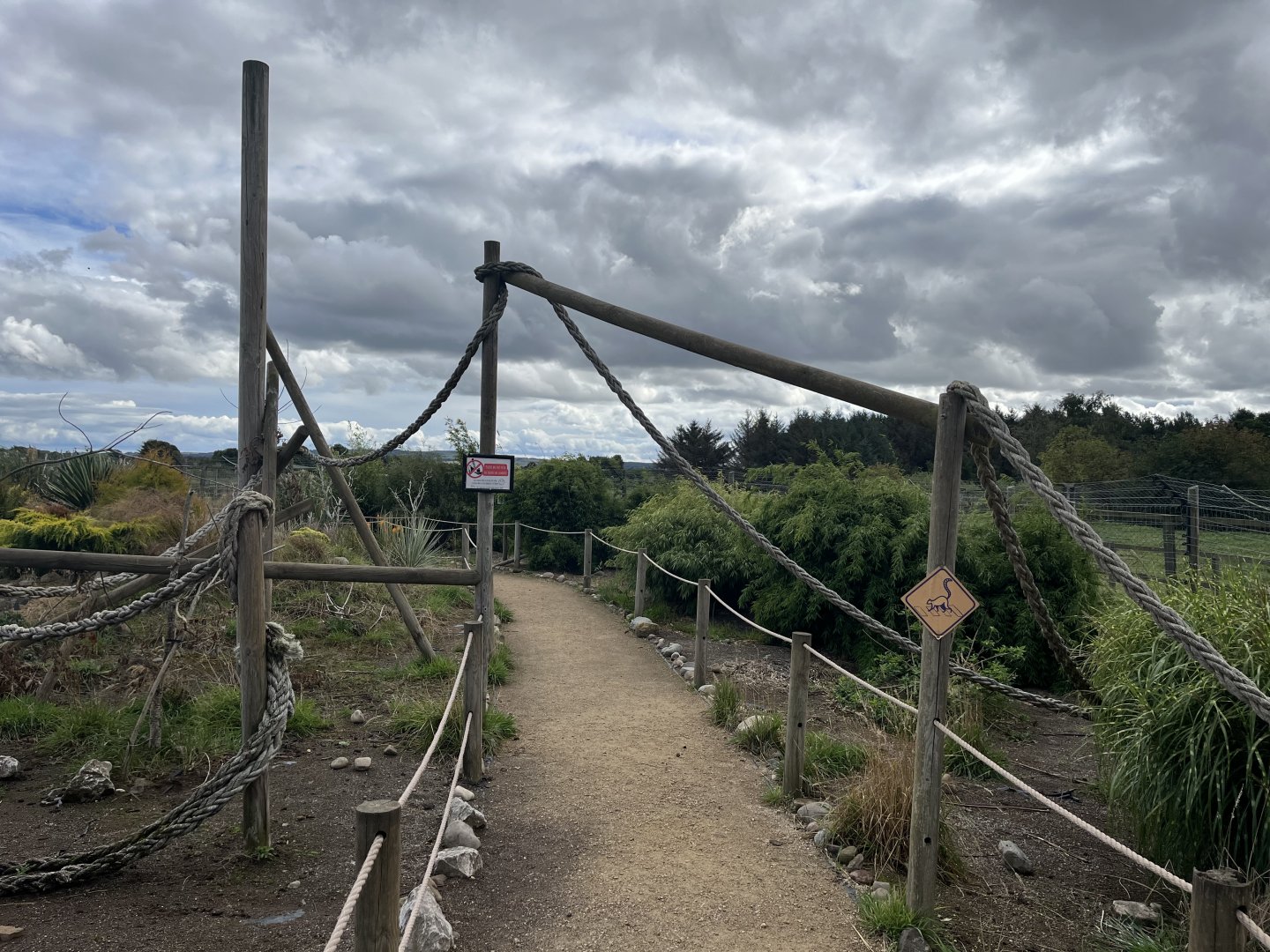 Ring-tailed lemur walkthrough 1.9.25