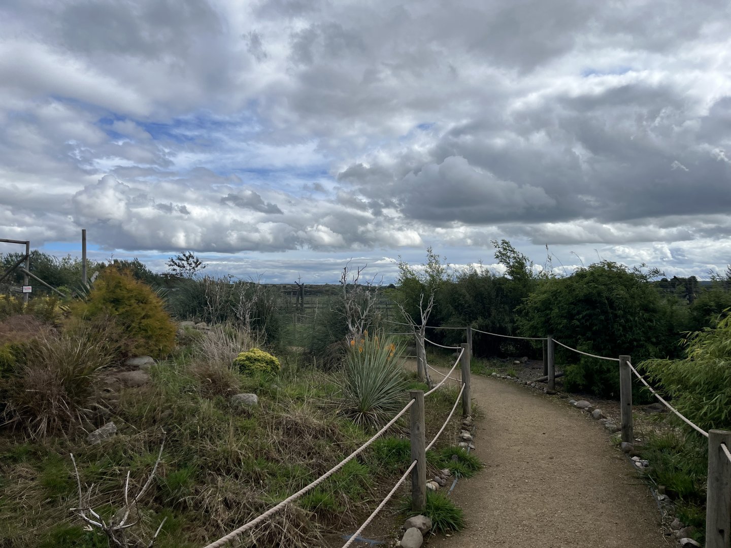 Ring-tailed lemur walkthrough 1.9.25