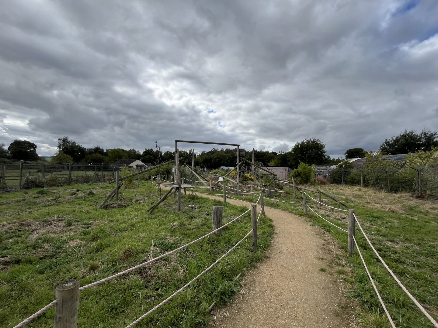 Ring-tailed lemur walkthrough 1.9.25