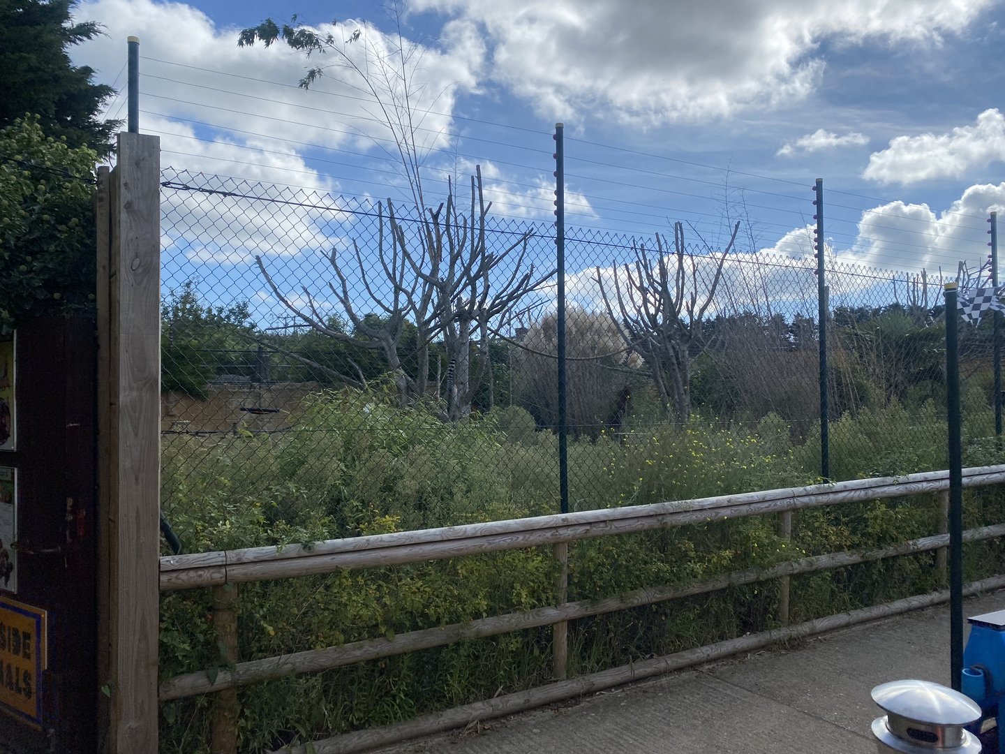 Ring-tailed lemur walkthrough 140923